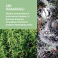 Terapevtsko CBD mazilo za kožo 50 ml