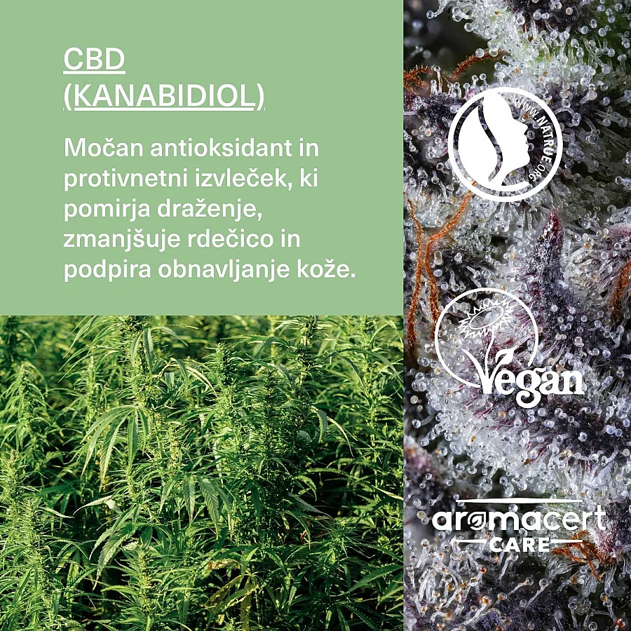 Terapevtsko CBD mazilo za kožo 50 ml